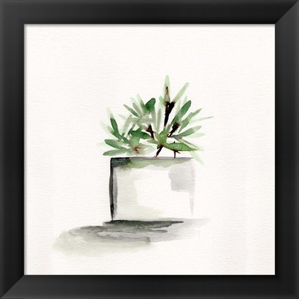 Framed Potted Botanicals IV Print