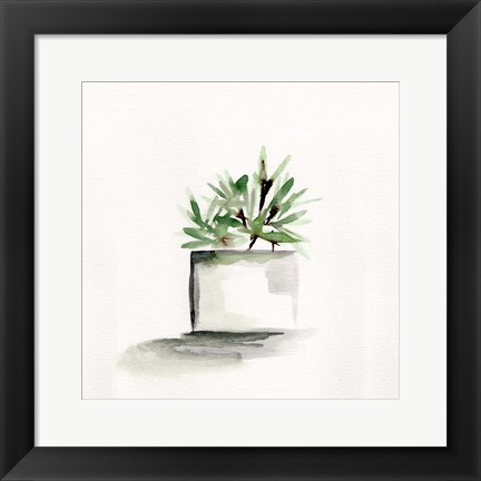 Framed Potted Botanicals IV Print