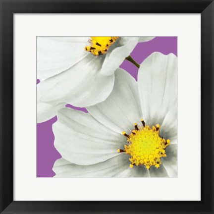 Framed Flower Pop II Print