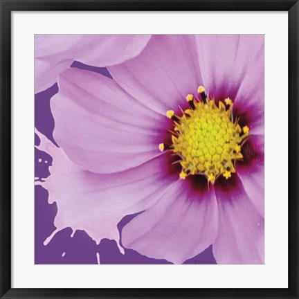 Framed Flower Pop III Print