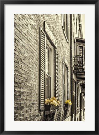 Framed Window Boxes Print