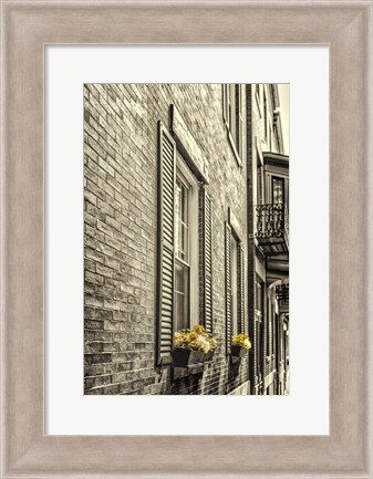 Framed Window Boxes Print