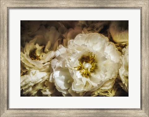 Framed White Flowers Print