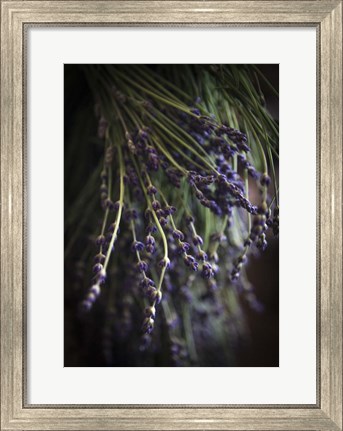 Framed Purple Buds Print