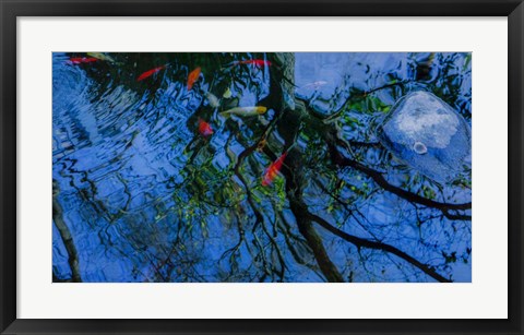 Framed Fish Pond Print