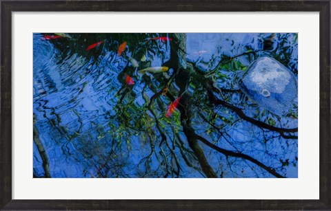 Framed Fish Pond Print