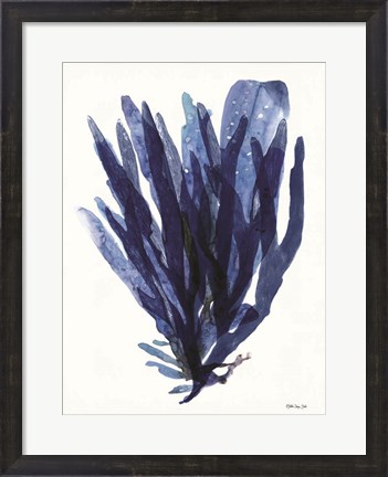 Framed Transparent Indigo Sea Grass II Print