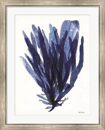 Framed Transparent Indigo Sea Grass II Print