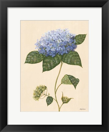 Framed Blue Hydrangea Print