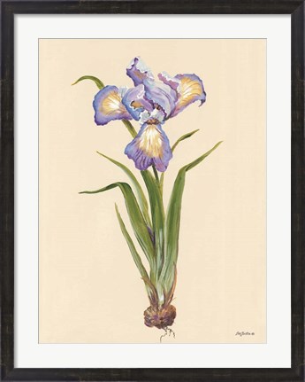 Framed Blue Iris Print