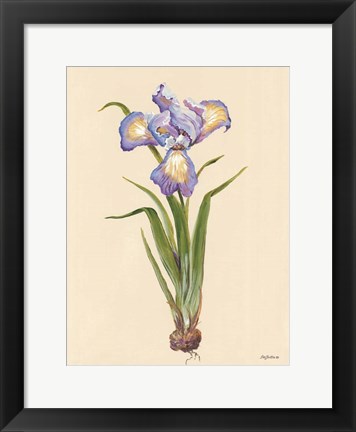 Framed Blue Iris Print