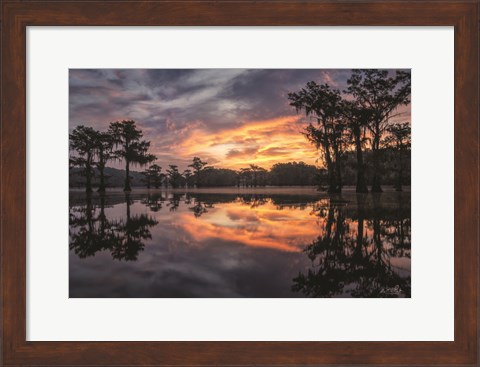 Framed Sunrise in the Swamps Print