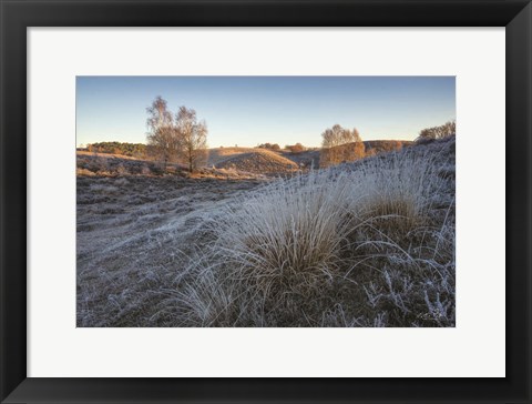 Framed Cold as Ice Print