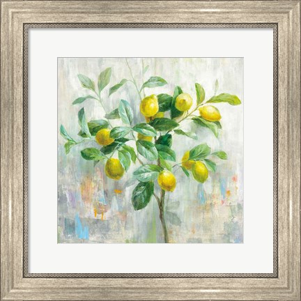 Framed Lemon Branch Print