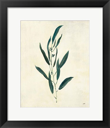 Framed Botanical Study V Print