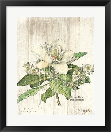 Framed Magnolia de Printemps v2 Print