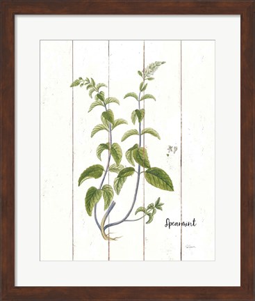 Framed Cottage Herbs IV Print