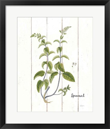 Framed Cottage Herbs IV Print
