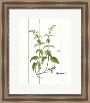 Framed Cottage Herbs IV Print