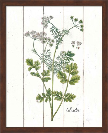 Framed Cottage Herbs III Print