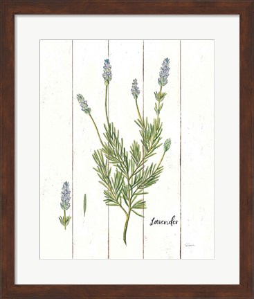 Framed Cottage Herbs II Print