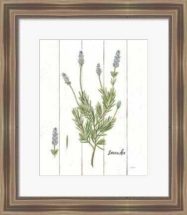 Framed Cottage Herbs II Print