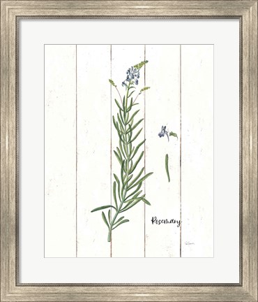 Framed Cottage Herbs I Print