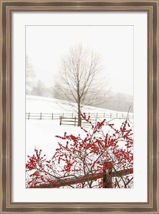 Framed Red on White Print