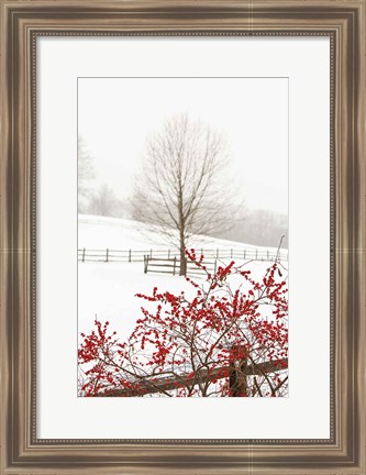 Framed Red on White Print