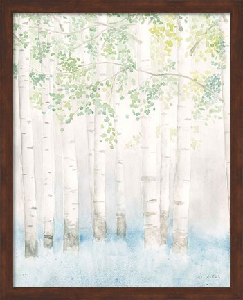 Framed Soft Birches II Print