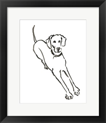 Framed Dog II Print