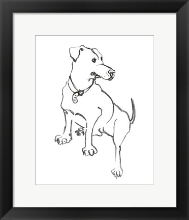 Framed Dog IV Print