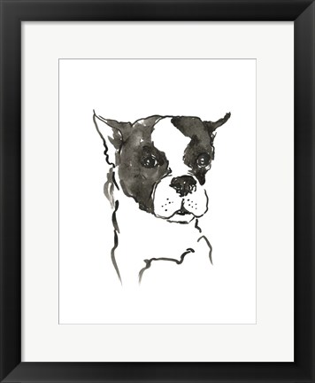 Framed Dog V Print