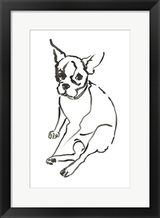 Framed Dog VI Print