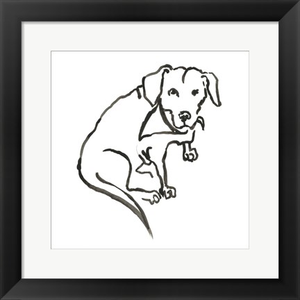 Framed Dog VII Print