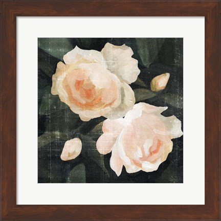 Framed Soft Garden Roses I Print