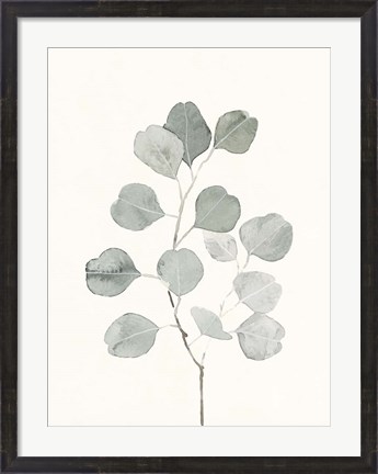 Framed Delicate Sage Botanical I Print