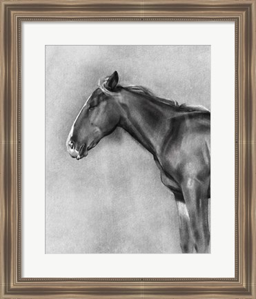 Framed Charcoal Equine Portrait II Print