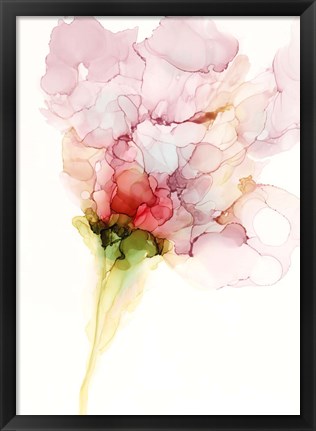 Framed Flower Passion I Print