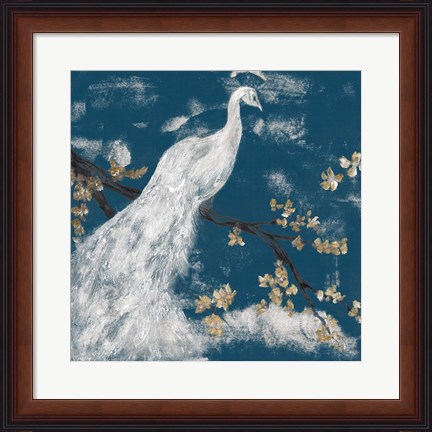 Framed White Peacock on Indigo I Print