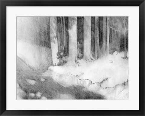 Framed Graphite Glade I Print