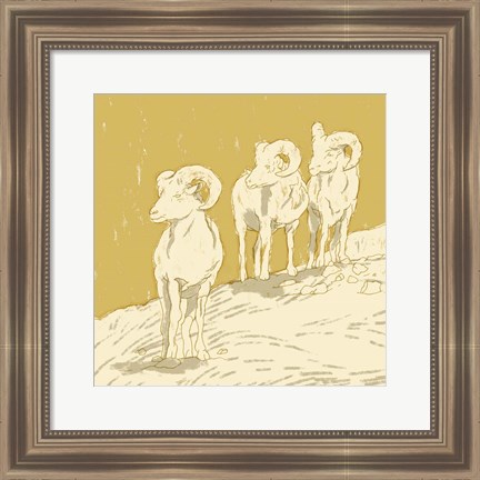 Framed Big Horn II Print