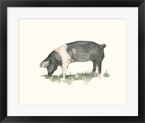 Framed Grazing Farm Animal IV Print