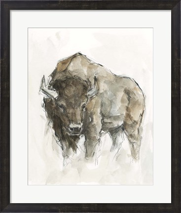 Framed American Buffalo II Print