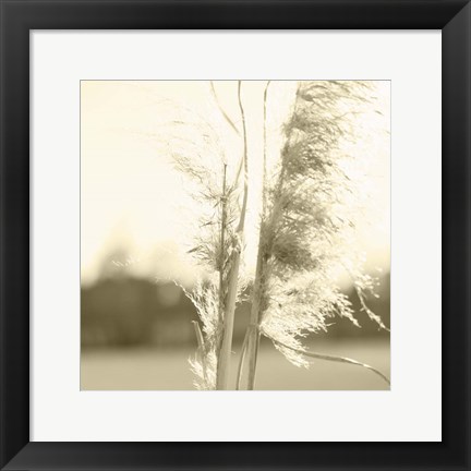 Framed Ethereal Pampas V Print