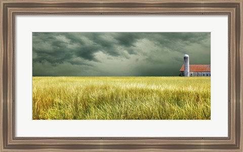 Framed Yellow Field Print