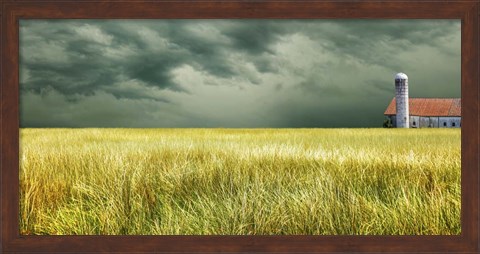 Framed Yellow Field Print