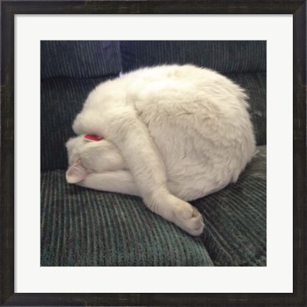 Framed Cat Yoga I Print