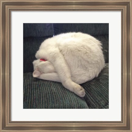 Framed Cat Yoga I Print