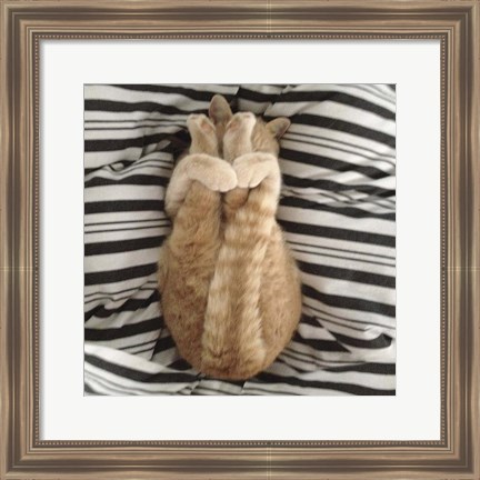 Framed Cat Yoga IX Print